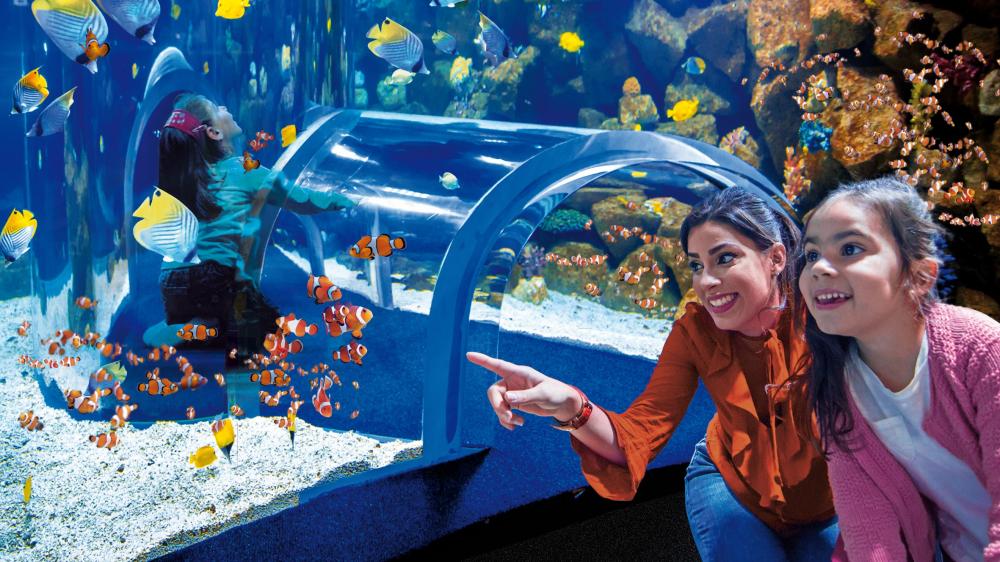 poema del mar nemo kids 2