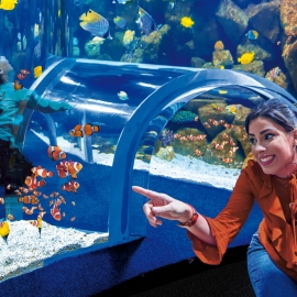 poema del mar nemo kids 2