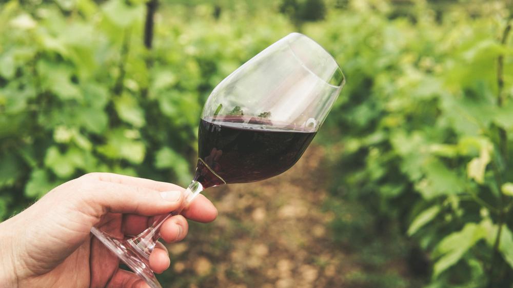 pexels-grape-things-2954924