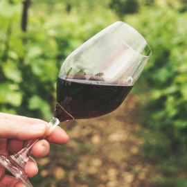 pexels-grape-things-2954924