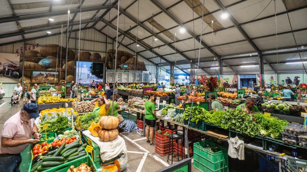 mercadillo san miguel abona