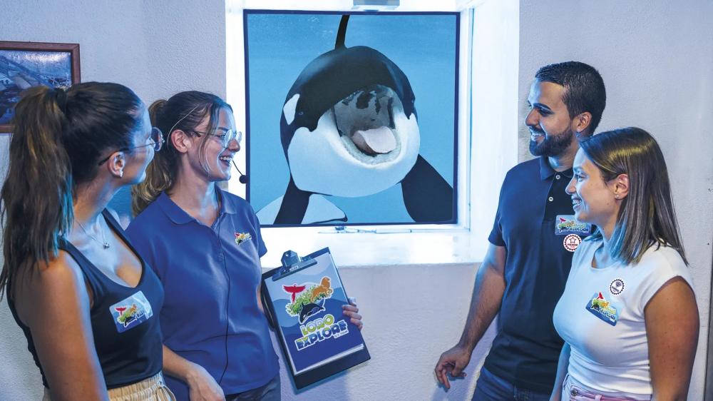 loro-explore-orcas-2