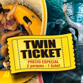 twin_tickets