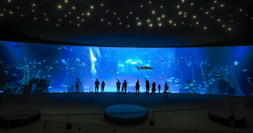 pdm deepsea (21) gr