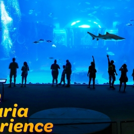 Poemas-del-mar-Gran-Canaria-Experience 0