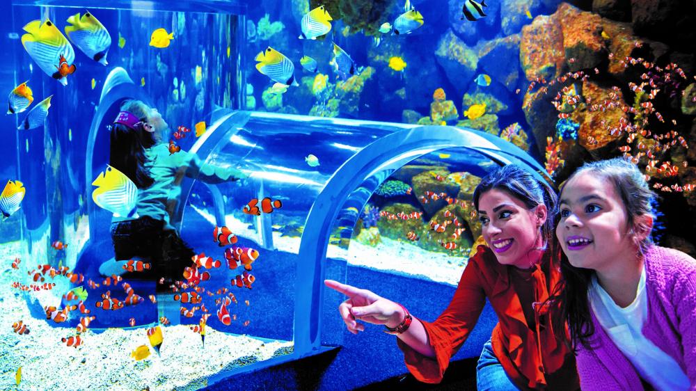 Poema del mar nemo kids 0
