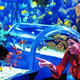 Poema del mar nemo kids 0